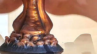 29 Another Flight with the Dragon