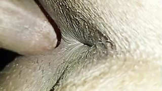 Bangladesi housewife Free Time Full Enjoy With her Husband,Desi Viral New Sex Video.