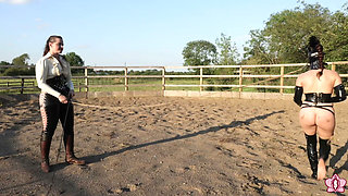 Trotting to Submission