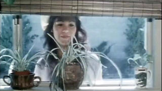 Classic Porn Dvds: Weekend Cowgirl: Part 2