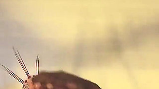 Anal Wife Deepthroat BBC Big Dick in Front of Cock Old Husband Before DP Double Penetration Creampie