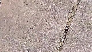 Hot Fudge Tasty Feet Left Foot Wrapped at the Bus Stop