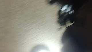 Fun on a Sunday night.