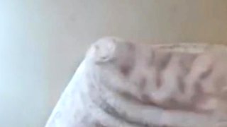 Cute Young Twink Shows Off on Webcam