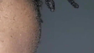 Wildenglishbbw BBC Nata4sex licking my fat pink pussy