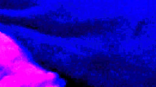 Late Night Wake Up Call to take care of what needed be be done