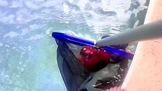 Emo Girl Blows Poolboy and Fucks Him