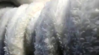 Amateur Asian Adult Video