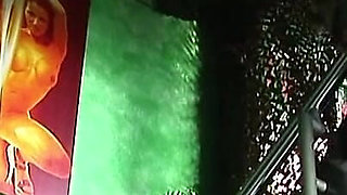 The Pussies From the Office Tower