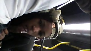 Brain's Blowjob on the Bus