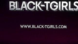 BLACK TGIRLS - Updates Compilation 8th to 12th Dec '25