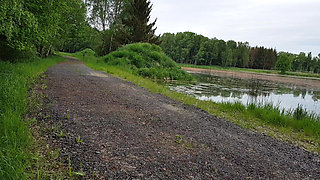 Men's Day Differently: a Special Walk