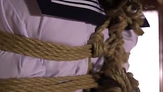 160-season-ending-who-udr