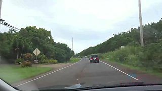 Ariel Grace's Hawaiian Adventure: She Returns to Paradise & Can't Get Enough