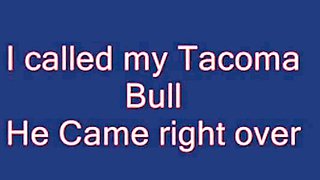 Amateur Thai in Stockings Blows and Rides a White Bull