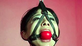 MaxineX - Nyssa Nevers Extreme Bondage Training