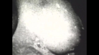 Fornication and Excitement of Whores