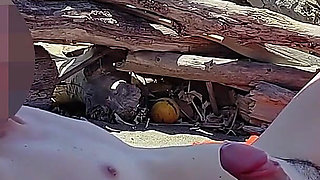 Risky Blowjob on the Canary Beach Caught with Intense Orgasm P2 - Misscreamy