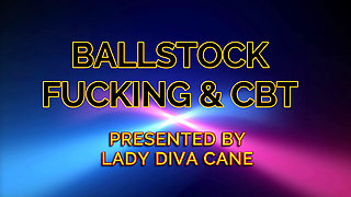 Male Slave in the Ball & Wrist Stock with Machine Fuck & CBT