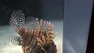 Nicole Bexley - You are glad to see Nicole back in your