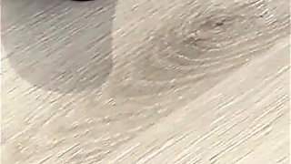 Vgq31 Aunty Sandra and Her Playtex Corsalette