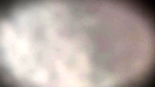 Blowjob Close Up No Hands Cumshot