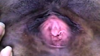 Black Girl Masturbates on Webcam