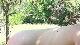 Masked Babe Gets Fucked by a Sexy MILF with a Strapon