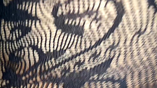 Hot NRI girl returns to fuck with her bestie