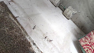 Blowjob and Romantic Fuck