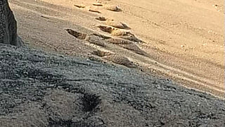 A Stranger Touched My Body on the Beach.