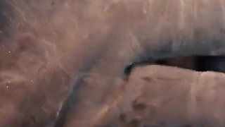 Asmr Video: Rubber Gloves.. Hear Amazing Sounds and Relax! Christmas Mood! Sfw Free Vid