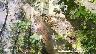 The Unexpected, Horny Appointment - Hollandschepassie