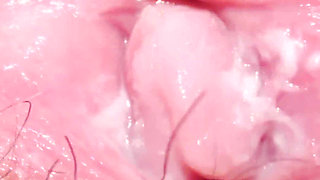 An Extreme Close-up of the Creamiest Pussy