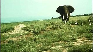 Sexy babe in vintage dress cleans cock off