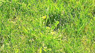 Sneeze After Sneeze and I Couldn T Stop Myself