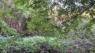 I Met Pervert Submissive Girl Outdoor and Punished Her Pussy