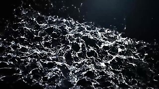 Lexi and Vanessa's czech porn