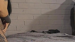 Cuckold Lesbian Strapon Fuck