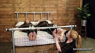 Blowjob Close Up No Hands Cumshot