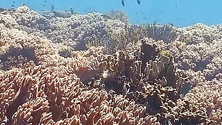 Backstage - Lisi Parisi