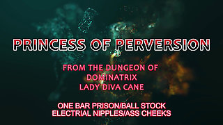 Cock and Wrist Stock on the One Bar Prison with Intense Electro Play