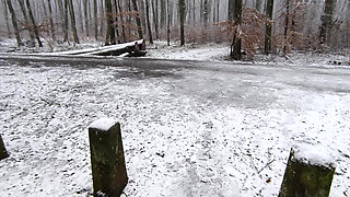 Snowy Tit Slapping