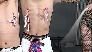 Mistress Whips Two Cross-dressing Masochists with Bell-attached Clips on Their Nipples, Makes Them Play Anal Dildo Tug-of-war