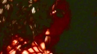 Plane Of Lust (USA 1996, Anna Malle, Lisa Ann)60fps - Lisa ann