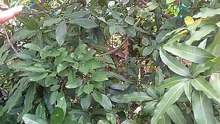 Beautiful Hot Step Mom, xxx Hot Step Mom, Step Mom Step Son xnxx, Dirty Talk Xxx Video Bangla mms