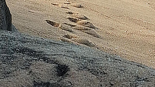 Enjoying the Beach and Showing off My Body.