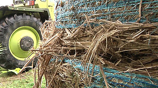 The Farm of the Perverse Peasant Women