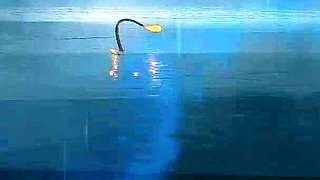 Fucking a Pussy From the Deep