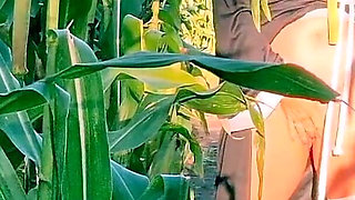 Nun Kylie's Fun in the Corn